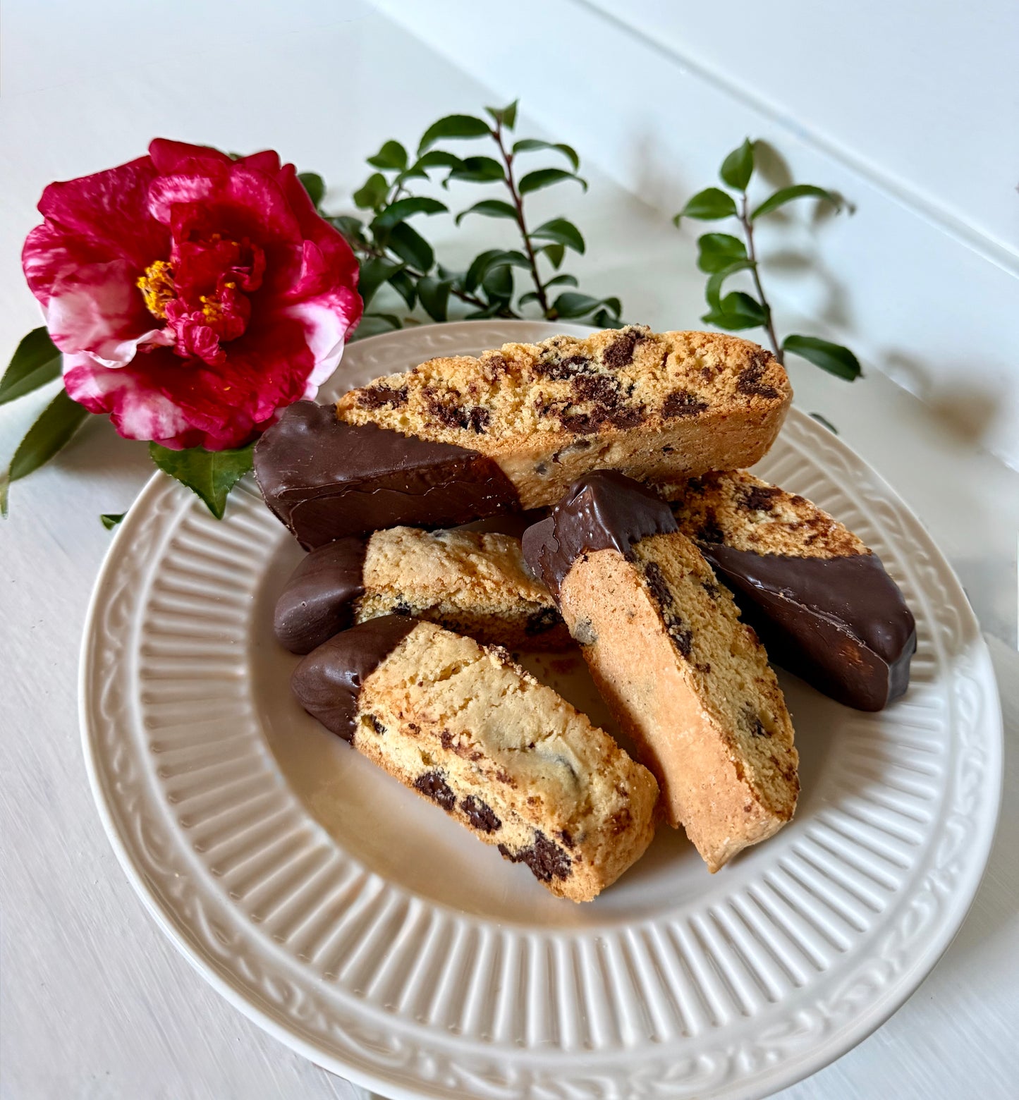 Chocolate Chip Biscotti
